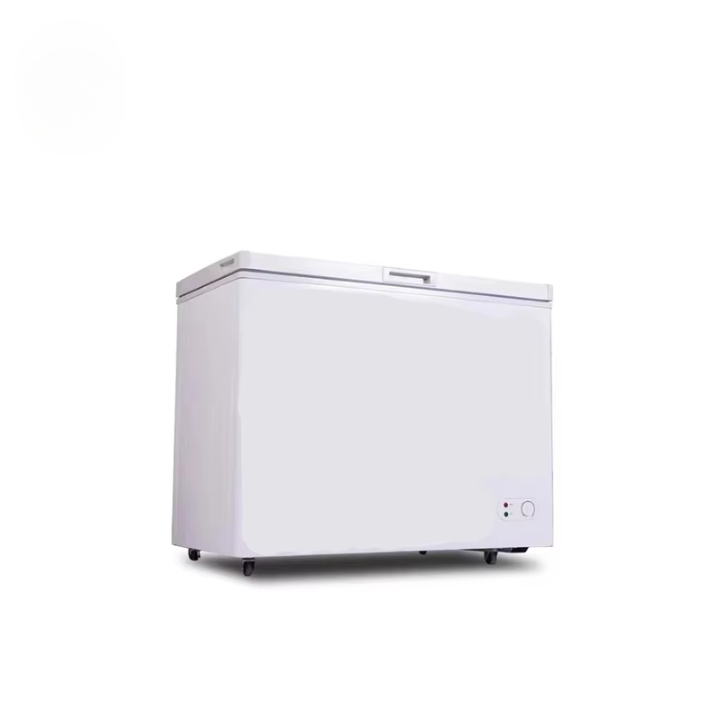 100 ~ 300 لتر ثلاجة فريزر أفقي - مراجعة Commercial Chest Freezer وسعره